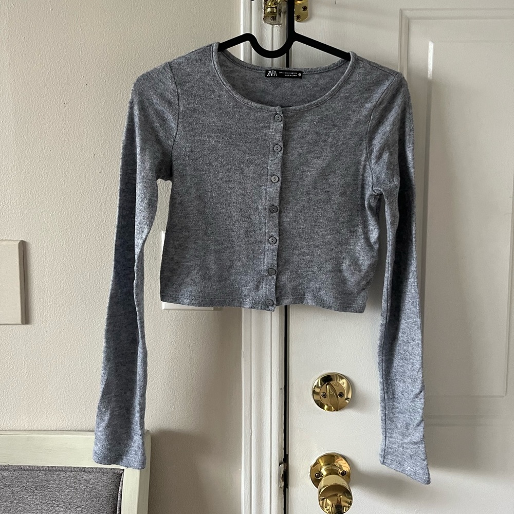 Zara long sleeve crop top